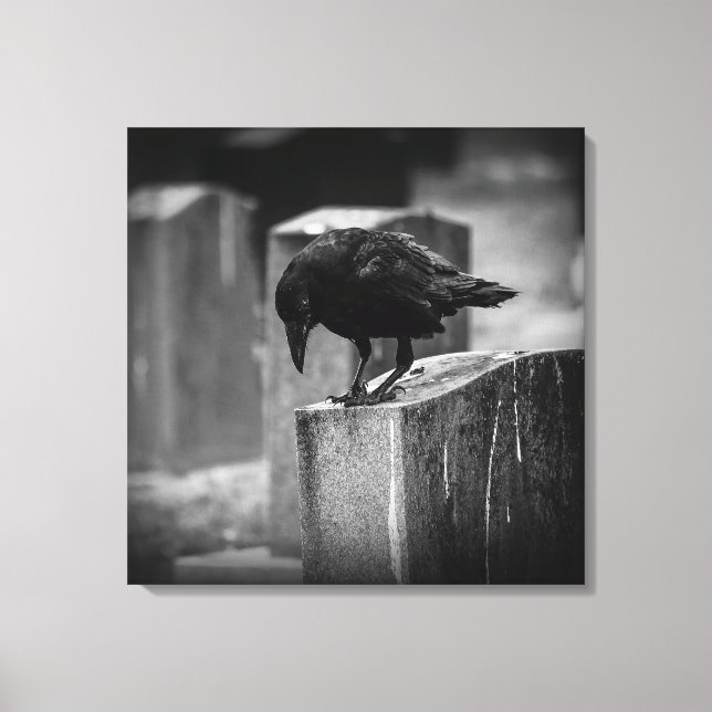 Toile Falln Cemetery Crow (Recto)