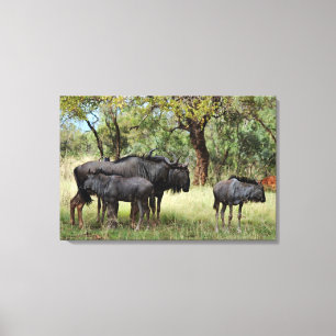Toile Famille de gnou en Afrique du Sud