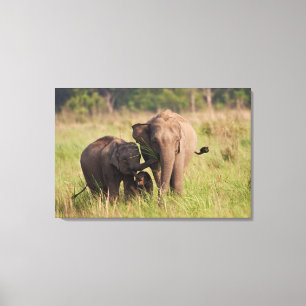 Toile Famille d'éléphants d'Asie indiens dans la savane