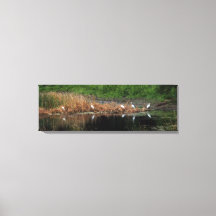 Famille Heron - côté droit