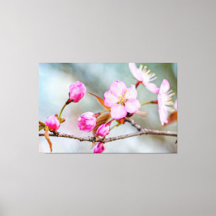 Toile Fascination des fleurs de Sakura dans le jardin de