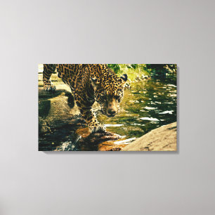 Toile Faune Animaux sauvages Nature léopard