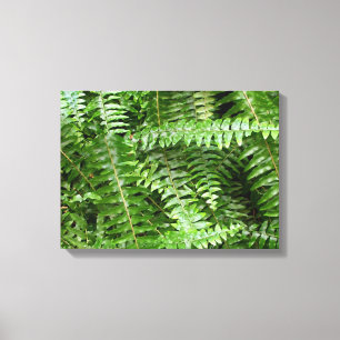 Toile Fermer Fronds I Green Nature