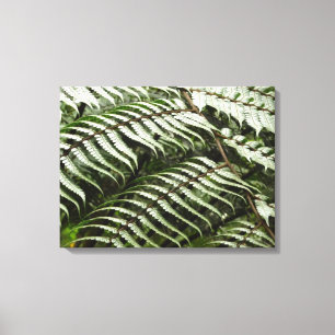 Toile Fern Fronds II Dark Green Nature