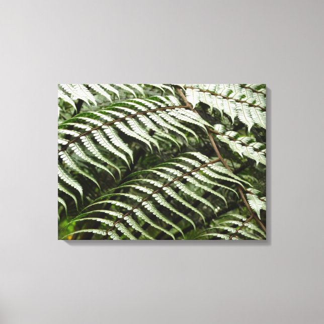 Toile Fern Fronds II Dark Green Nature (Recto)
