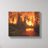 Feu de forêt du parc national Bitterroot