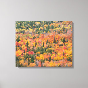Toile Feuillage d'automne Péninsule de Keweenaw, Michi