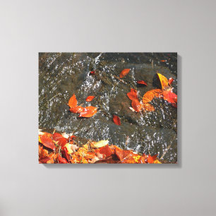 Toile Feuilles d'automne dans la cascade I Photographie 