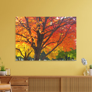 Toile Feuilles d'automne de la photo jaune et orange