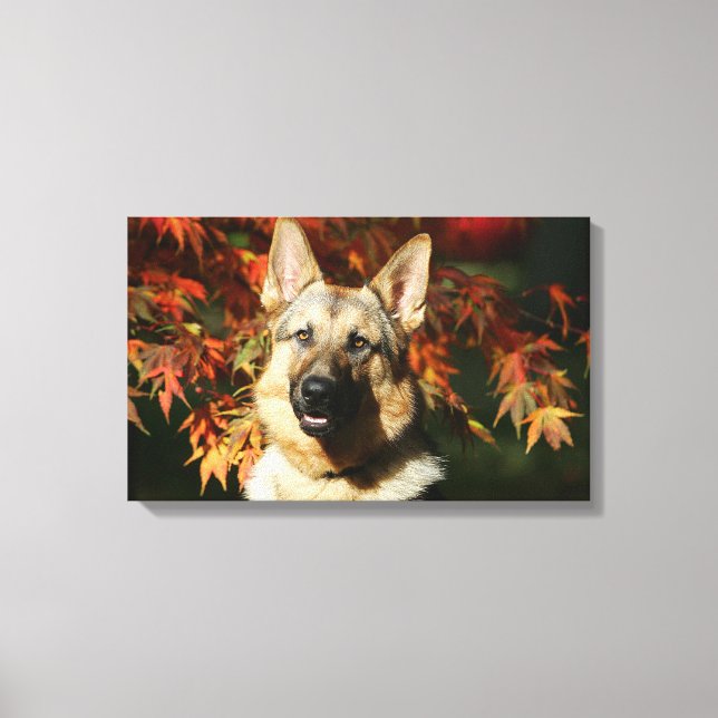 Toile Feuilles d'automne du berger allemand (Recto)