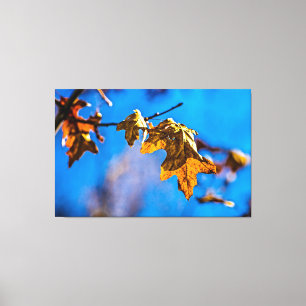 Toile Feuilles de chêne sec - Le printemps n'est pas loi