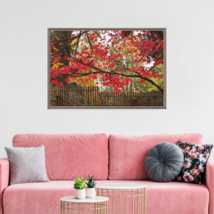 Toile Feuilles de Érable Rouge et Photo de Clôture en Ba