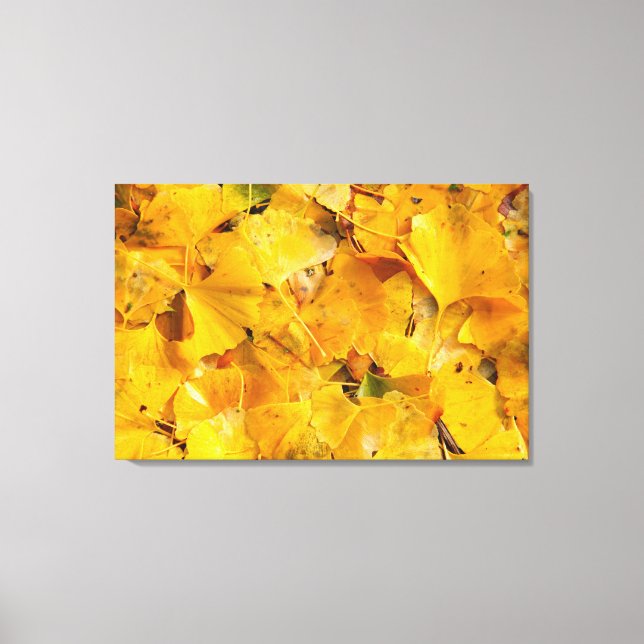 Toile Feuilles de Ginkgo Biloba (Recto)