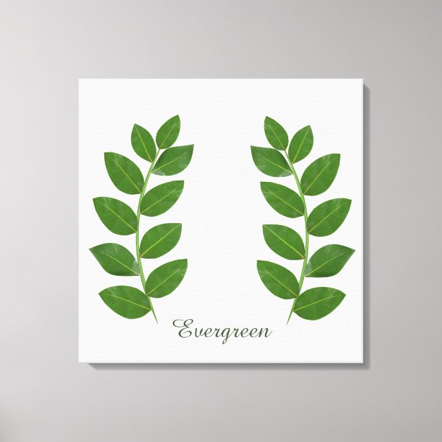 Toile Feuilles de laurier vert modernes (Recto)