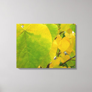 Toile Feuilles jaunes et vertes de Cercis