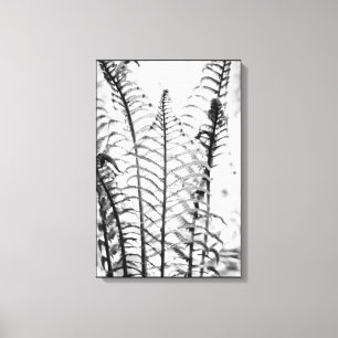 Toile Feuilles minimalistes de fougères Noir et Blanc Bo