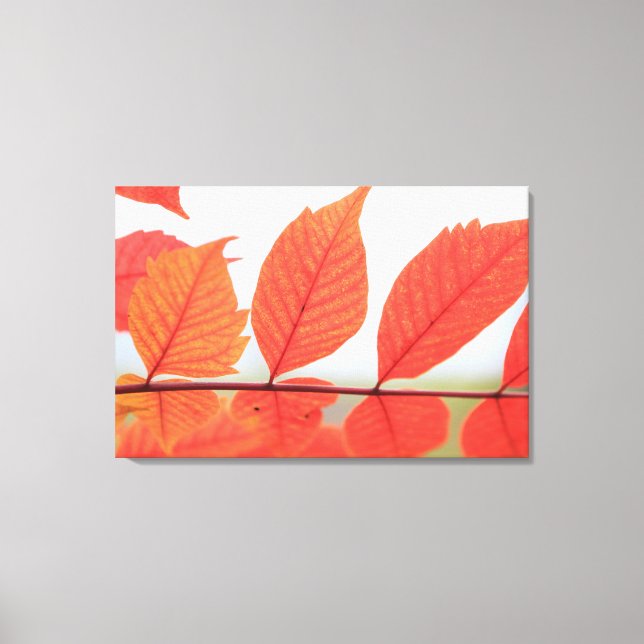 Toile Feuilles orange d'automne (Recto)
