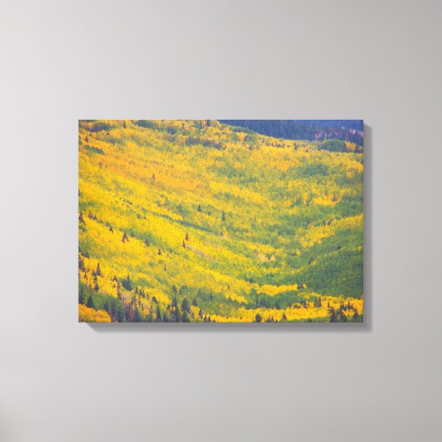 Toile Flagstaff Arizona Aspens (Recto)