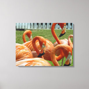Toile Flamants roses vers le haut fermeture de l'impress