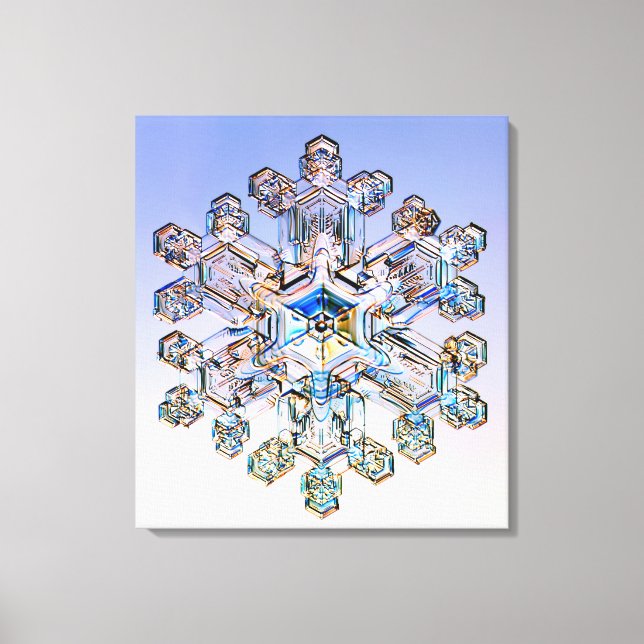 Toile Flèche de neige (Recto)