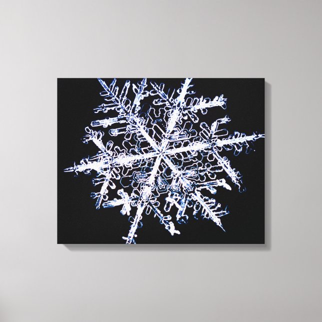 Toile Flèche de neige 5 (Recto)