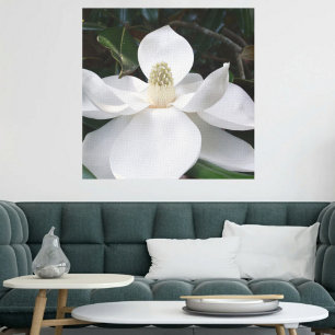 Toile Fleur blanche Magnolia Photographie Botanique