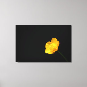 Toile Fleur Buttercup 36x24 (90x60cm) waccna
