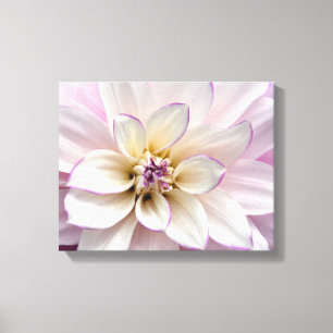 Toile Fleur dahlia violette et blanche
