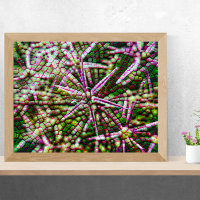 Fleur d'ail Cellulaire Abstrait Mur Art