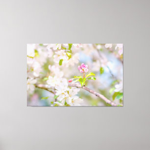 Toile Fleur d'Apple - Beauté