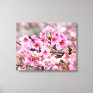 Toile Fleur de cerisier Fleurs d'arbre japonaises rose f