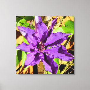 TOILE FLEUR DE CLEMATIS