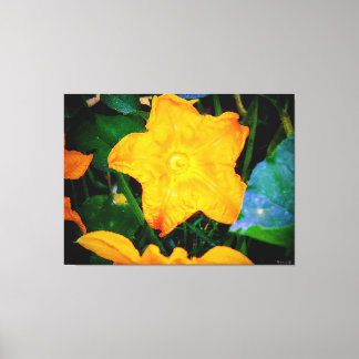 Toile Fleur de courgette jaune vibrant