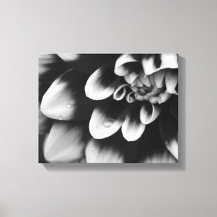 Toile Fleur de dahlia noire et blanche en fleurs