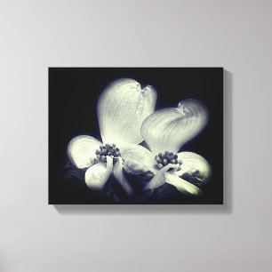 Toile Fleur De Dogwood Fleur Noir Et Blanc