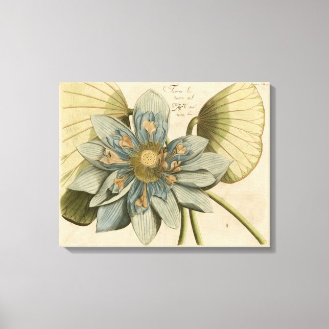 Toile Fleur de Lotus Bleu sur Arrière - plan Tan avec éc (Recto)