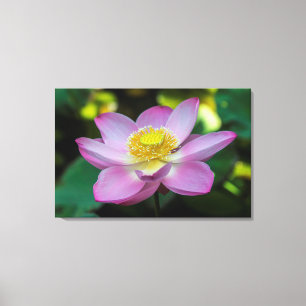 Toile Fleur de lotus en fleurs, Indonésie