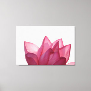 Toile fleur de lotus [Nelumbio speciosum] en pleine