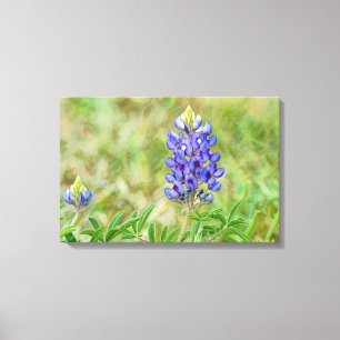 Toile Fleur de Lupin Bleu du Texas en Gros Plan