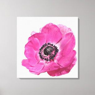 Toile Fleur de pavot rose vif Design floral blanc