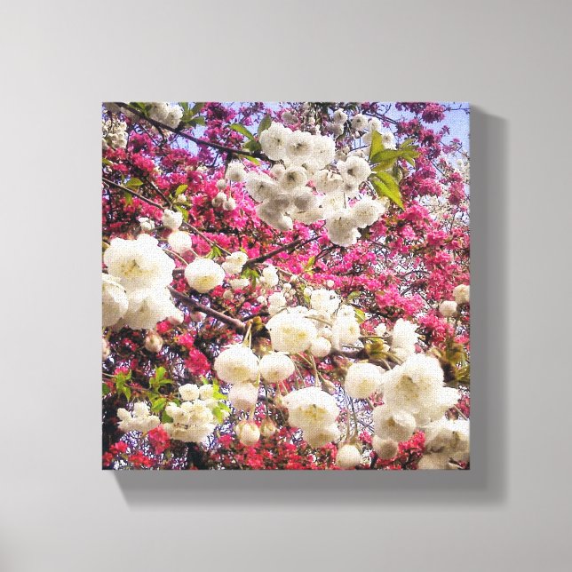 Toile Fleur de printemps blanche et rose au Pays de Gall (Recto)