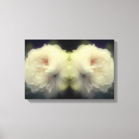 Fleur de rose blanche en fleurs Art floral