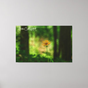 Toile Fleur de Susan aux yeux noirs
