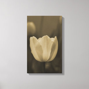 Toile Fleur de tulipe unique de sépia tonique fleurit de
