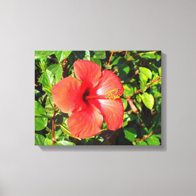 Toile Fleur d'hibiscus (Recto)