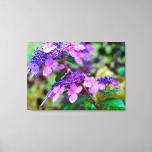 Toile Fleur d'hortensia Purple Twist and Shout