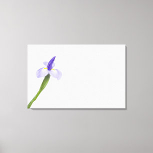 Toile Fleur d'iris