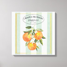 Fleur d'Oranger - Label Citrus Méditerranéen