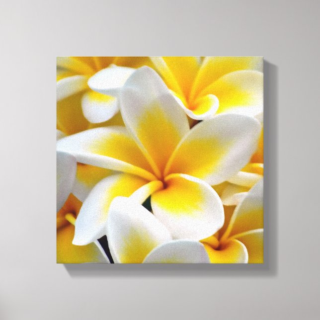 Toile Fleur Frangipani Plumeria (Recto)