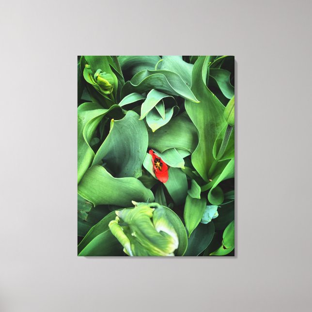 Toile Fleur Immergée En Vert (Recto)